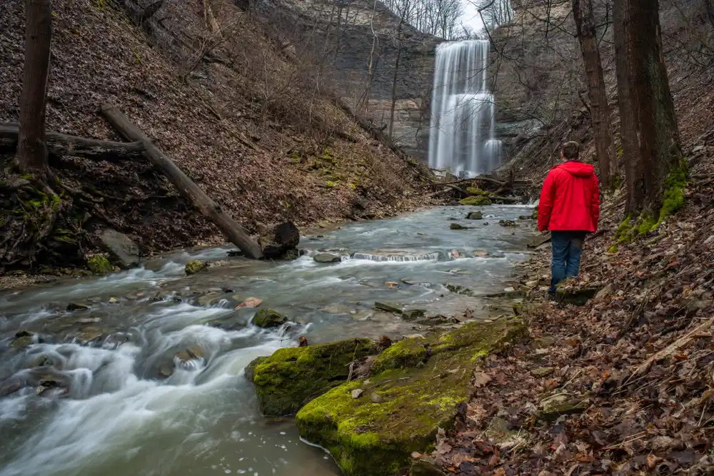 Felker’s Fall Conservation Area
