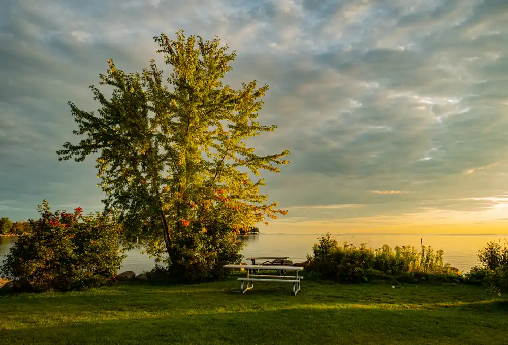  Georgina Arts Centre & Gallery