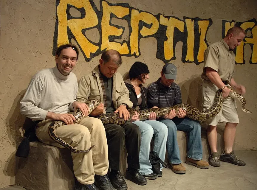 Reptilia Audience Members Handling Burmese Python Dsc 0083