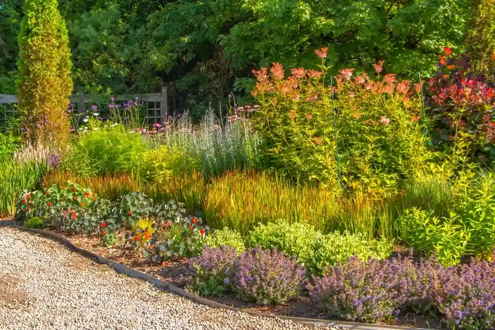 The Riverwood Conservancy Mississauga