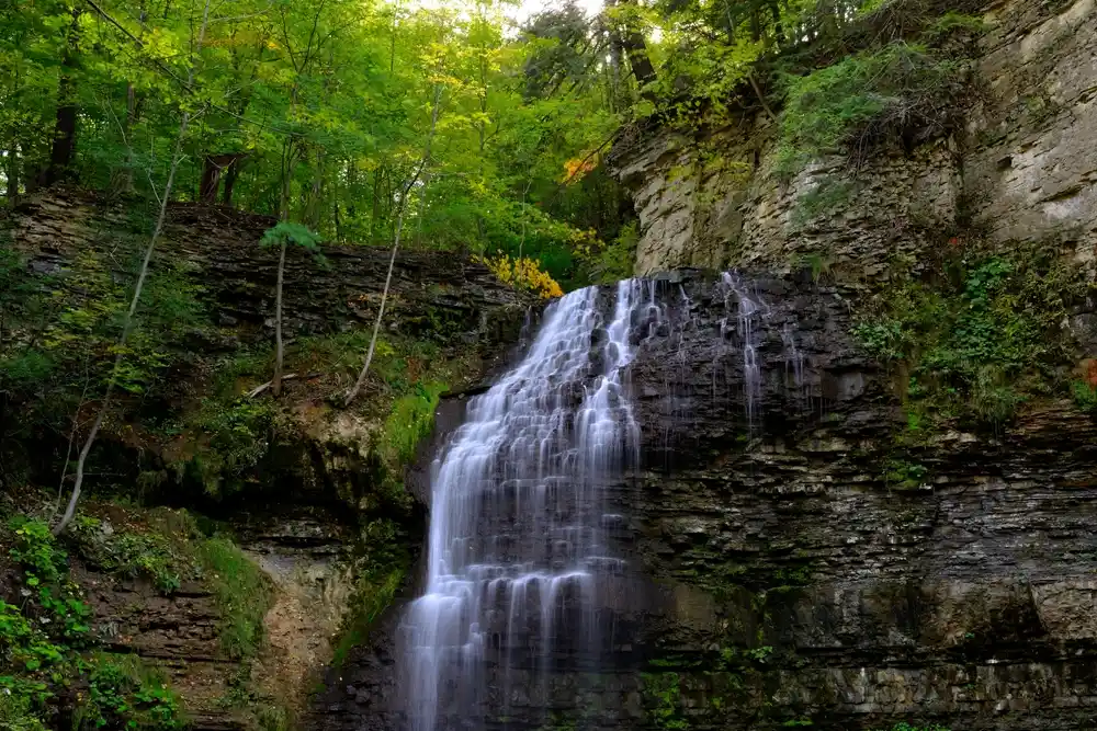 Tiffany Falls Hamilton