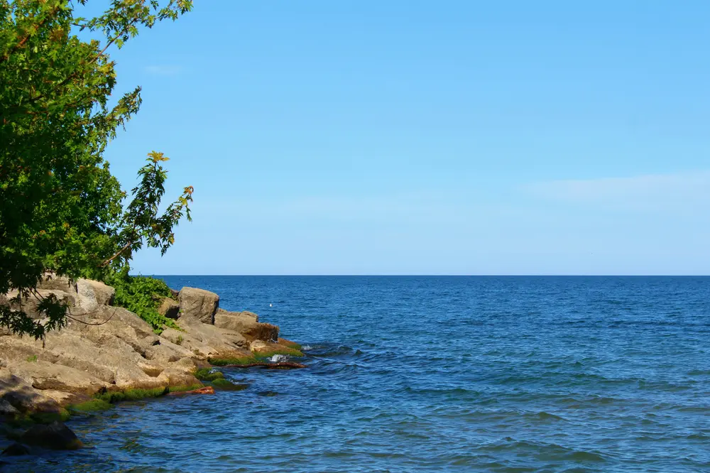 View On Lake Ontario Jack Darling Mississauga