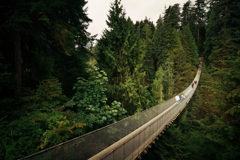 Capilano Suspension Bridge