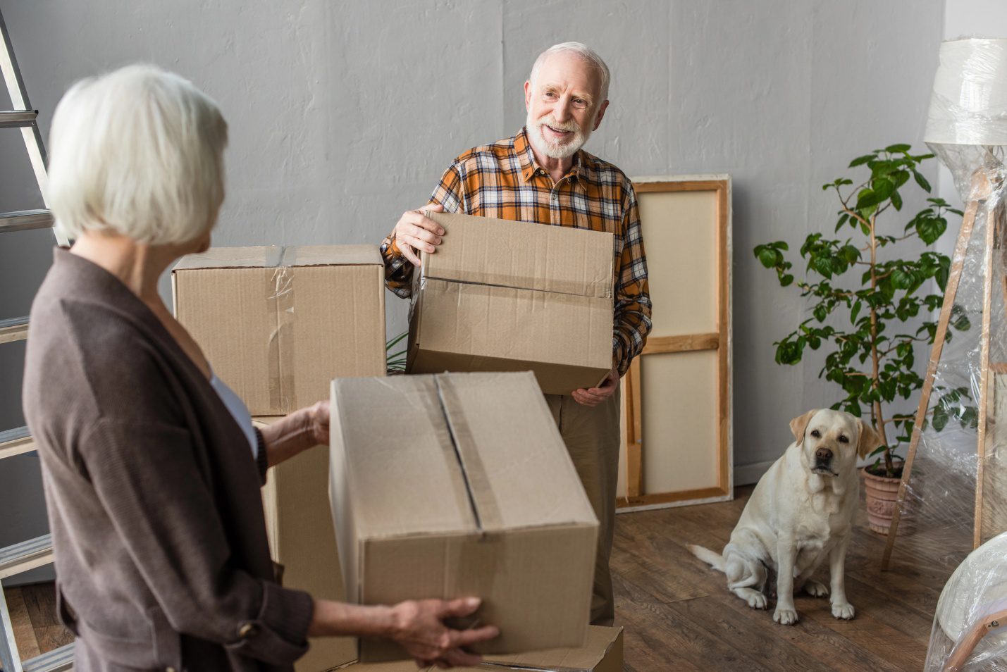 Senior couple packing boxes with their dog while preparing to move to a new home